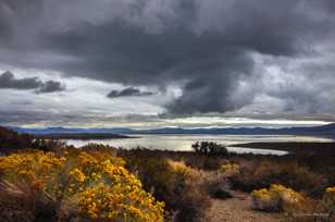 Mono Lake-8722